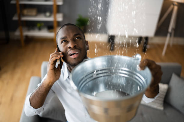 Best Water damage restoration near me  in Ellettsville, IN