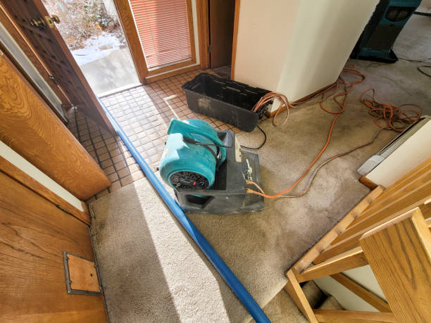Best Professional water damage repair  in Ellettsville, IN