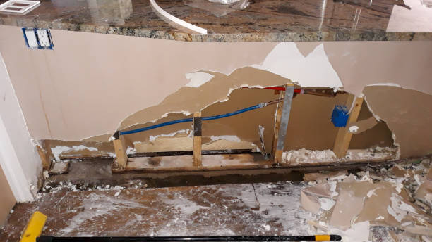 Best Emergency water damage restoration  in Ellettsville, IN