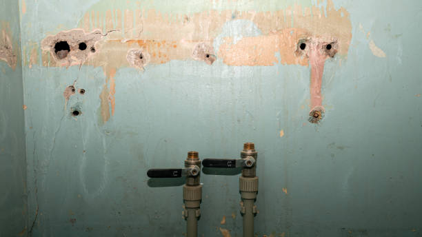 Best Sewage cleanup and water damage restoration  in Ellettsville, IN