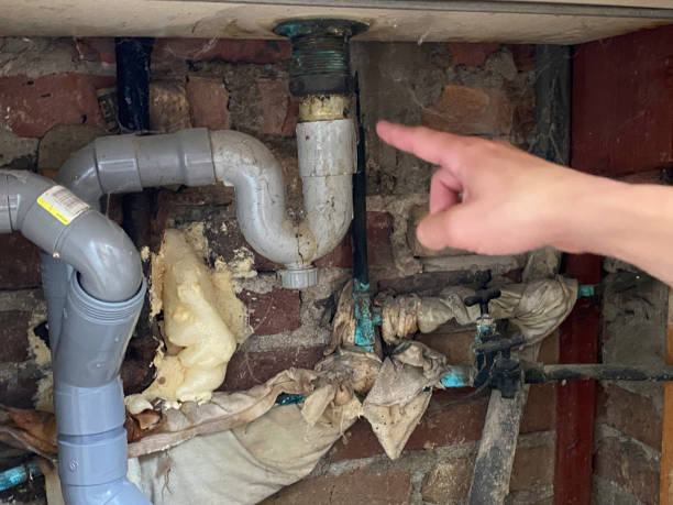 Best Water damage restoration services  in Ellettsville, IN