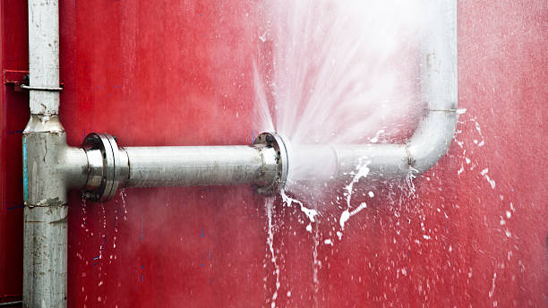 Best Flood restoration services  in Ellettsville, IN
